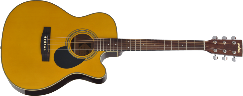 Headway guitar. Model: Hec-48